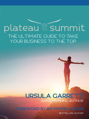 cover image of Plateau to Summit: the Ultimate Guide to Take Your Business to the Top